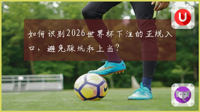 如何识别2026世界杯下注的正规入口，避免踩坑和上当？