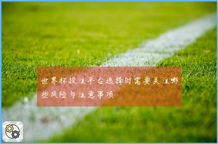 世界杯投注平台选择时需要关注哪些风险与注意事项