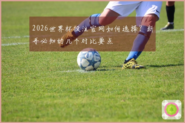 2026世界杯投注官网如何选择？新手必知的几个对比要点