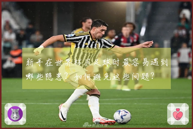 新手在世界杯买足球时最容易遇到哪些隐患？如何避免这些问题？