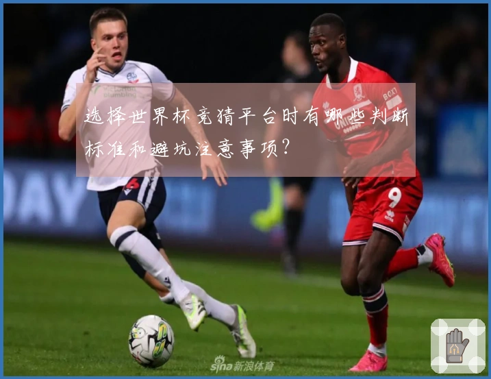 选择世界杯竞猜平台时有哪些判断标准和避坑注意事项？