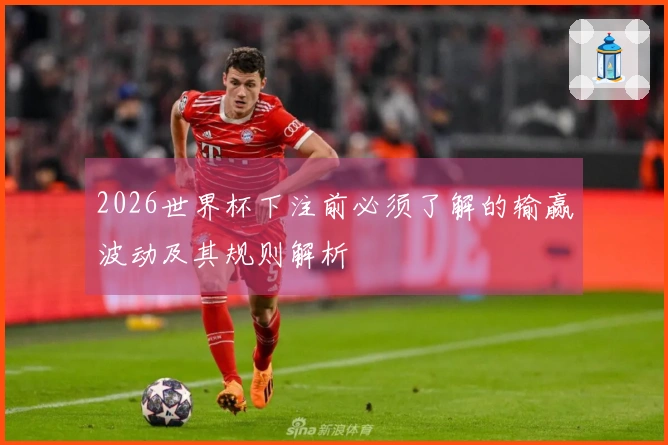 2026世界杯下注前必须了解的输赢波动及其规则解析