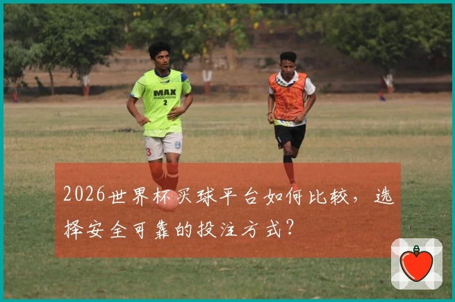 2026世界杯买球平台如何比较，选择安全可靠的投注方式？