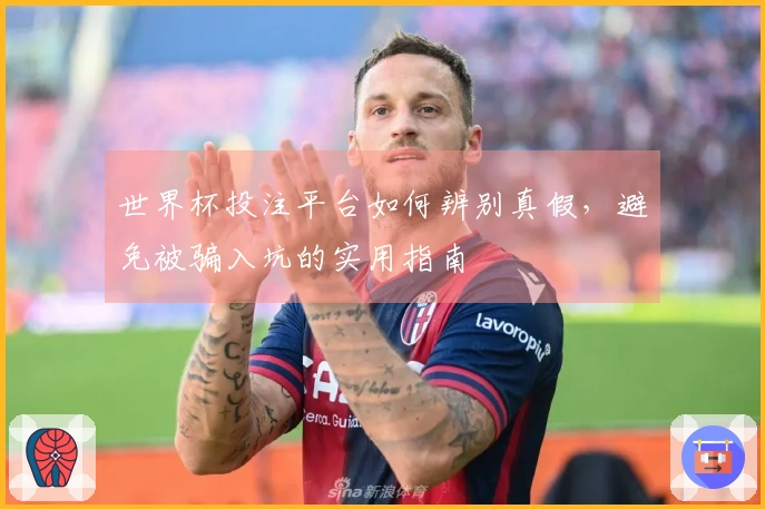 世界杯投注平台如何辨别真假，避免被骗入坑的实用指南