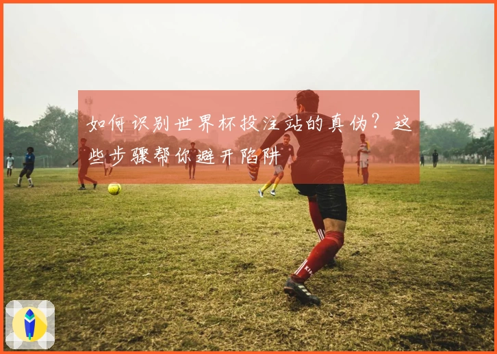 如何识别世界杯投注站的真伪？这些步骤帮你避开陷阱