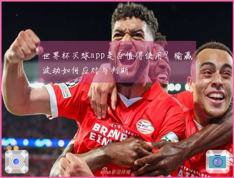 世界杯买球app是否值得使用？输赢波动如何应对与判断