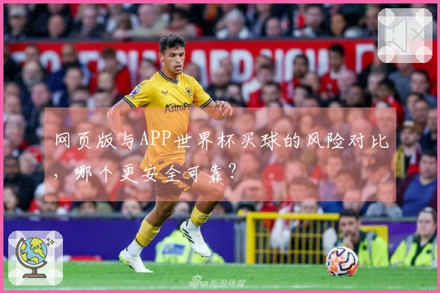 网页版与APP世界杯买球的风险对比，哪个更安全可靠？