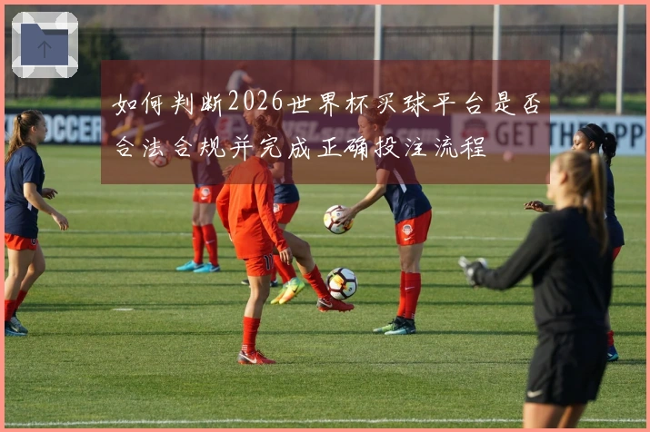 如何判断2026世界杯买球平台是否合法合规并完成正确投注流程
