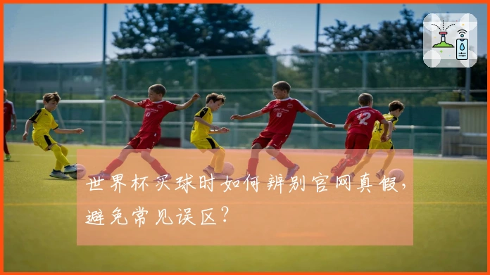 世界杯买球时如何辨别官网真假，避免常见误区？