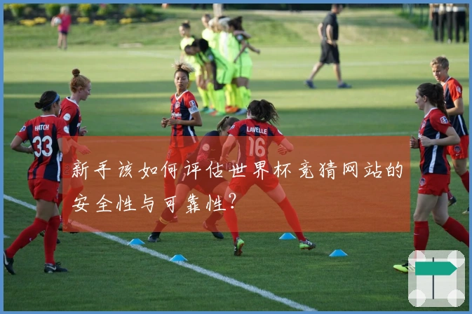 新手该如何评估世界杯竞猜网站的安全性与可靠性？