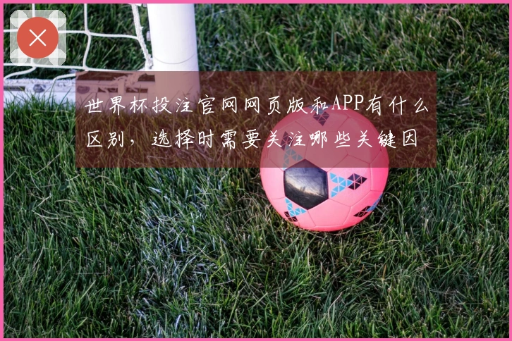 世界杯投注官网网页版和APP有什么区别，选择时需要关注哪些关键因素？