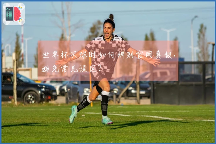 世界杯买球时如何辨别官网真假，避免常见误区？