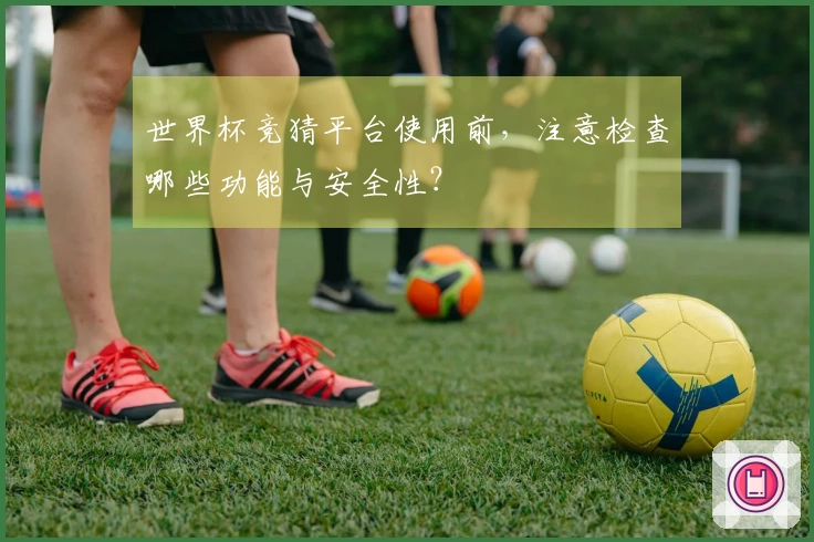 世界杯竞猜平台使用前，注意检查哪些功能与安全性？