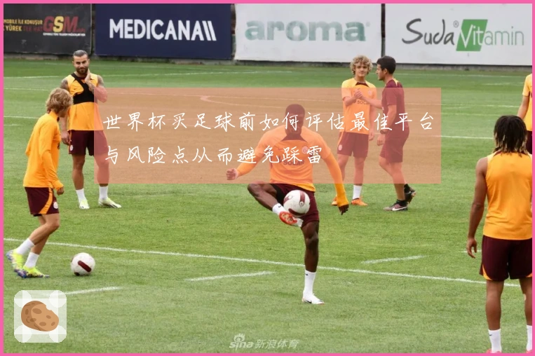 世界杯买足球前如何评估最佳平台与风险点从而避免踩雷