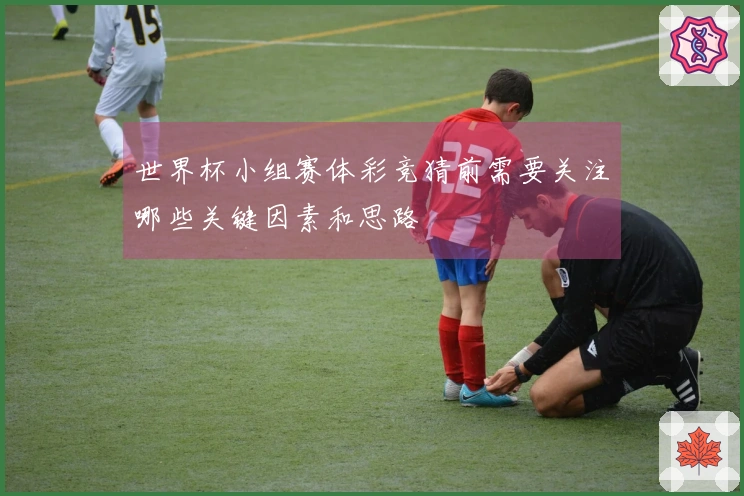 世界杯小组赛体彩竞猜前需要关注哪些关键因素和思路