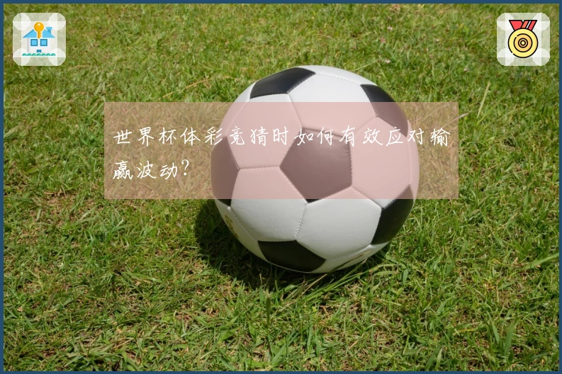 世界杯体彩竞猜时如何有效应对输赢波动？
