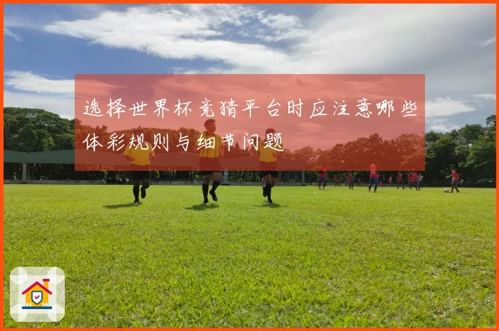 选择世界杯竞猜平台时应注意哪些体彩规则与细节问题