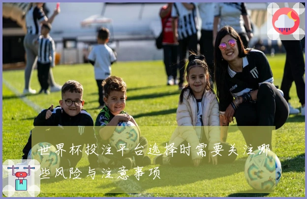 世界杯投注平台选择时需要关注哪些风险与注意事项