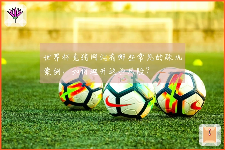 世界杯竞猜网站有哪些常见的踩坑案例，如何避开这些风险？