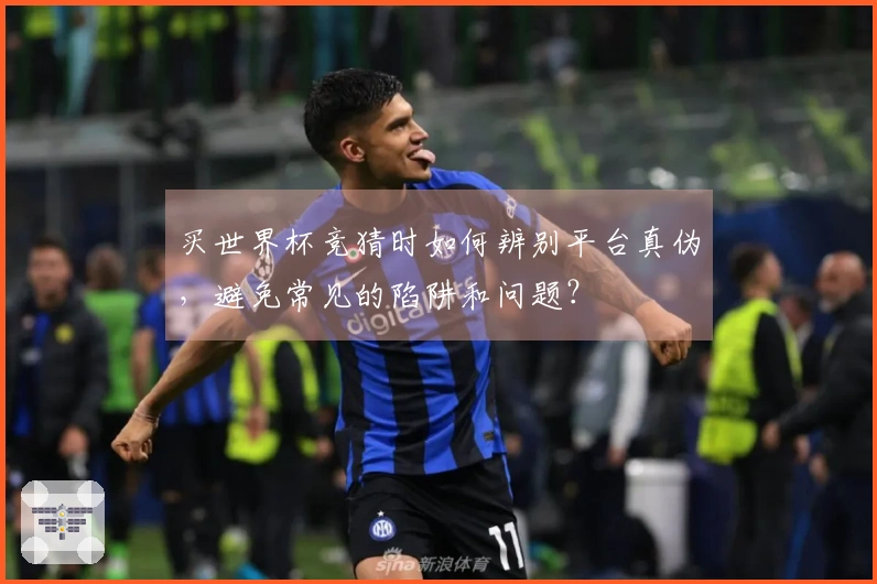 买世界杯竞猜时如何辨别平台真伪，避免常见的陷阱和问题？