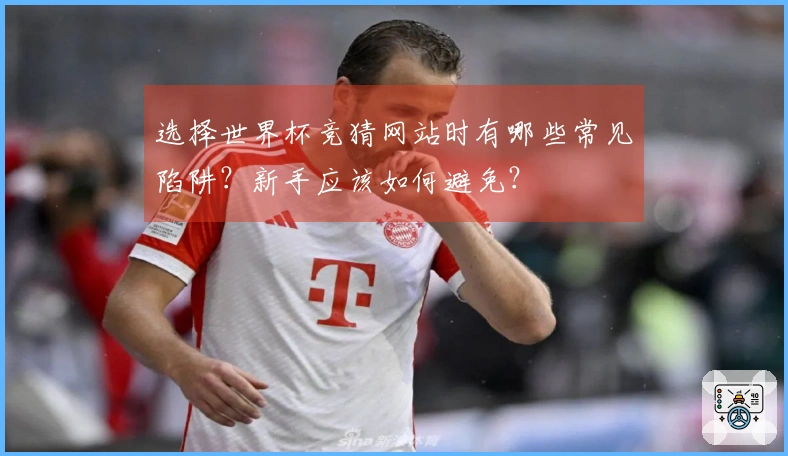 选择世界杯竞猜网站时有哪些常见陷阱？新手应该如何避免？