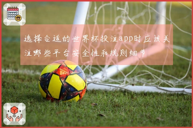 选择合适的世界杯投注app时应该关注哪些平台安全性和规则细节