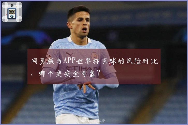 网页版与APP世界杯买球的风险对比，哪个更安全可靠？