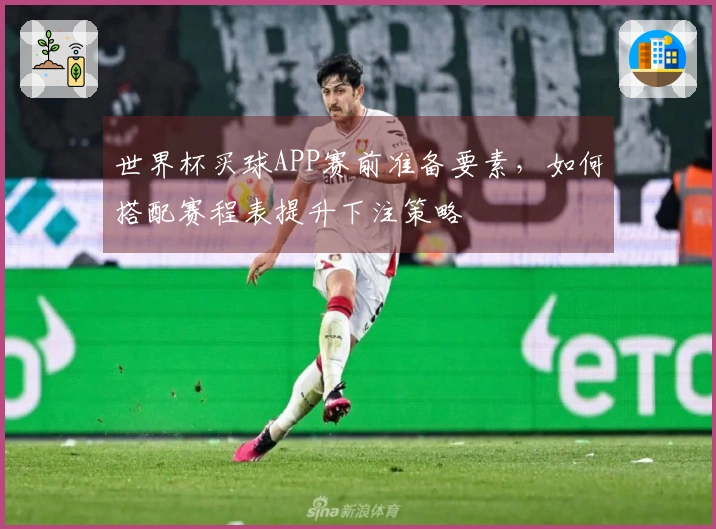世界杯买球APP赛前准备要素，如何搭配赛程表提升下注策略