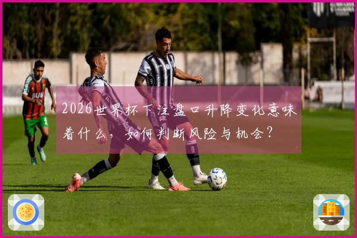 2026世界杯下注盘口升降变化意味着什么，如何判断风险与机会？