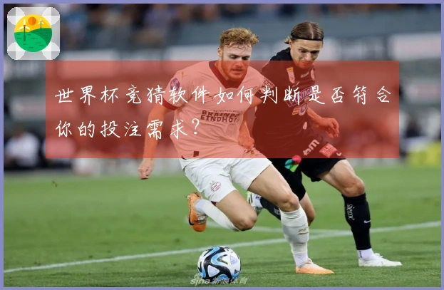 世界杯竞猜软件如何判断是否符合你的投注需求？
