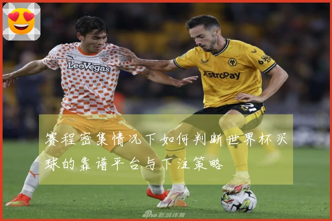赛程密集情况下如何判断世界杯买球的靠谱平台与下注策略