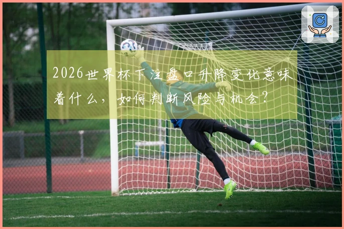 2026世界杯下注盘口升降变化意味着什么，如何判断风险与机会？