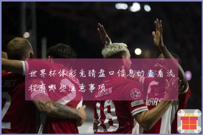 世界杯体彩竞猜盘口信息的查看流程有哪些注意事项