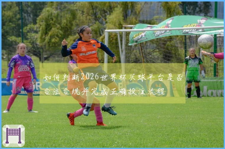 如何判断2026世界杯买球平台是否合法合规并完成正确投注流程