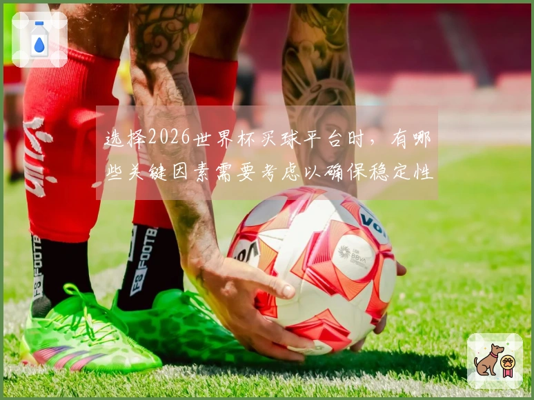 选择2026世界杯买球平台时，有哪些关键因素需要考虑以确保稳定性？