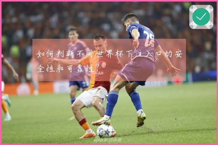 如何判断不同世界杯下注入口的安全性和可靠性？