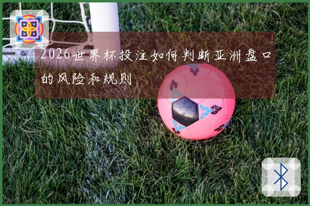 2026世界杯投注如何判断亚洲盘口的风险和规则
