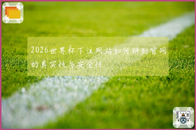 2026世界杯下注网站如何辨别官网的真实性与安全性