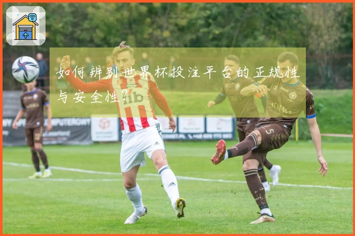 如何辨别世界杯投注平台的正规性与安全性？