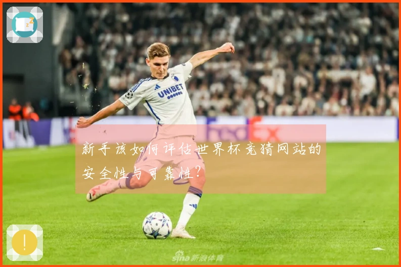 新手该如何评估世界杯竞猜网站的安全性与可靠性？